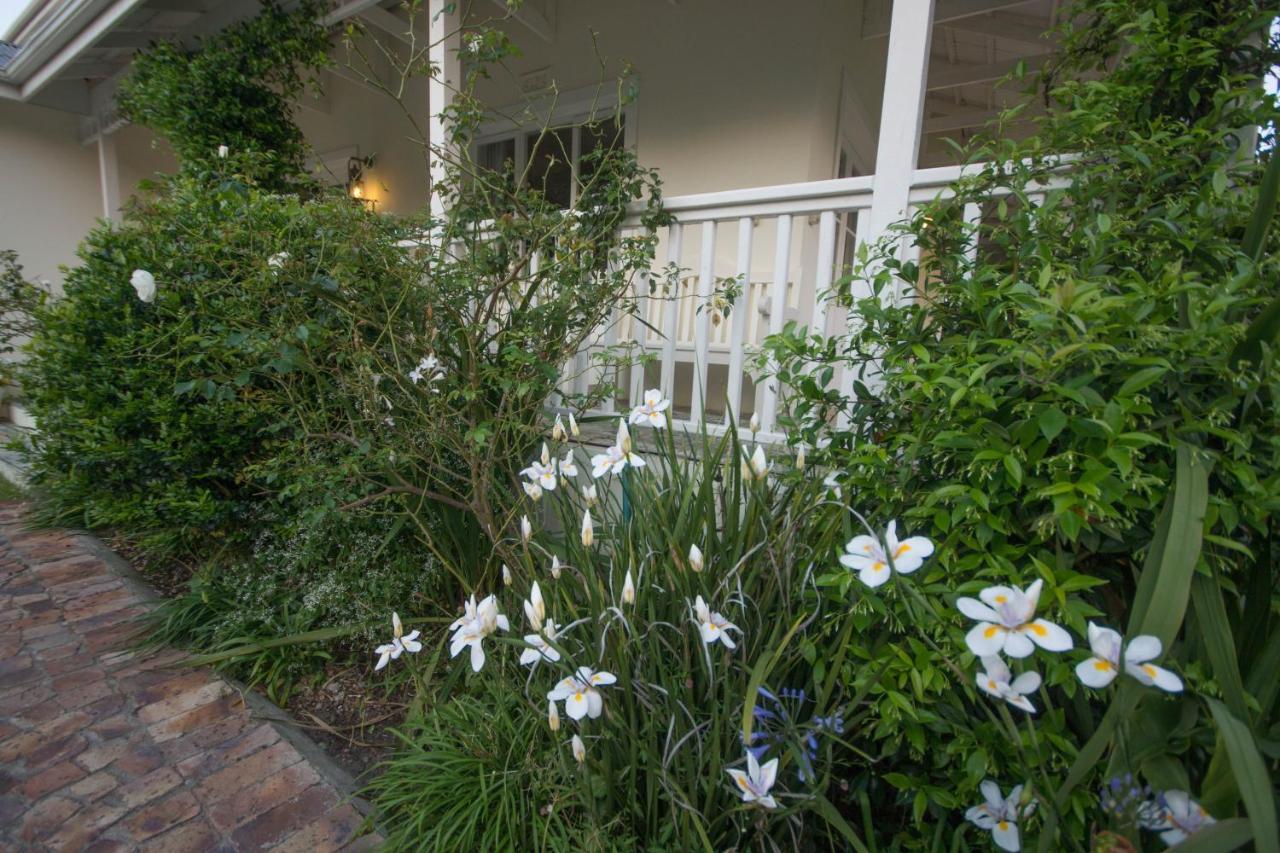 The Summer House Plettenberg Bay Luaran gambar